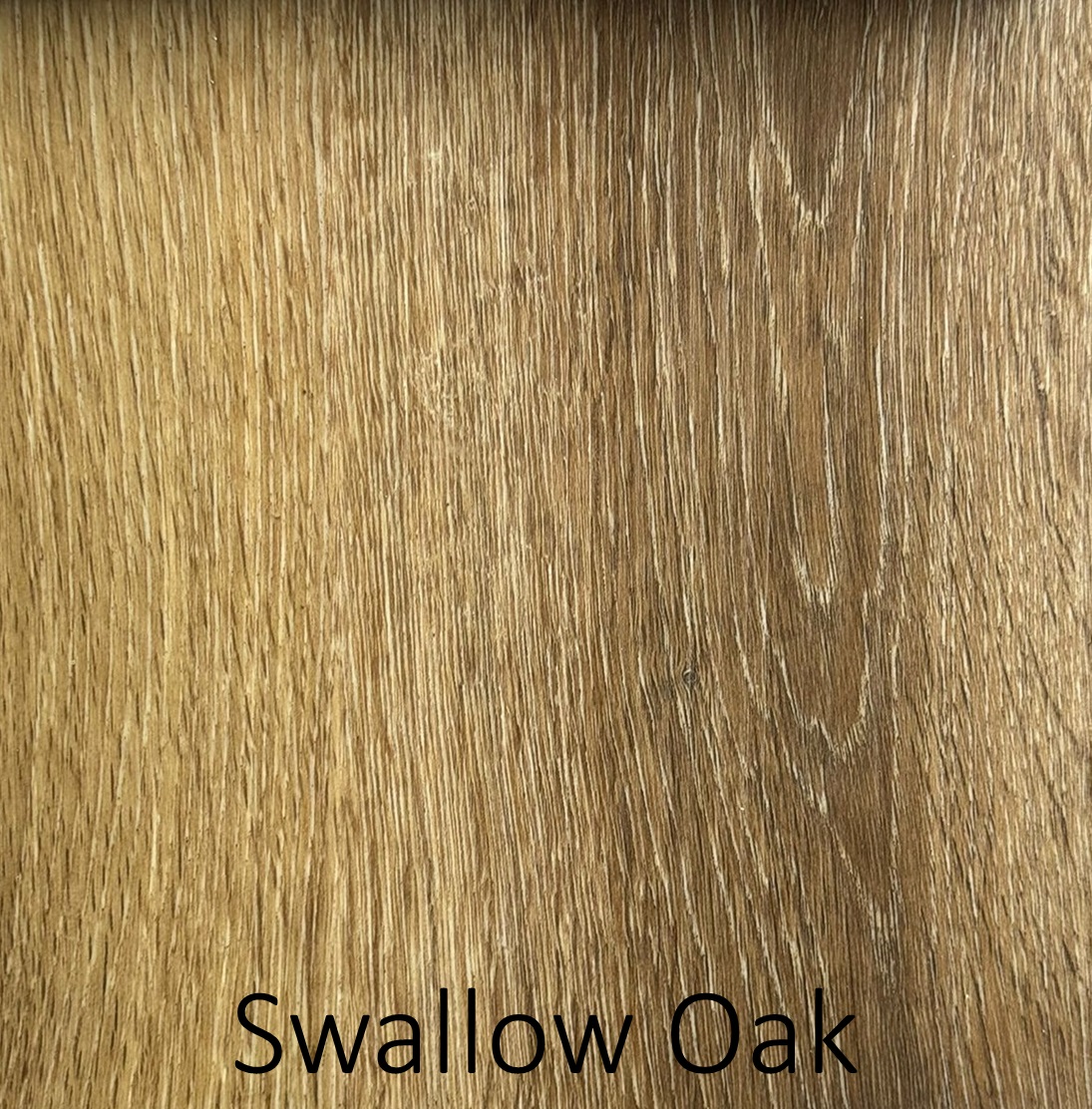 Swallow Oak (1)
