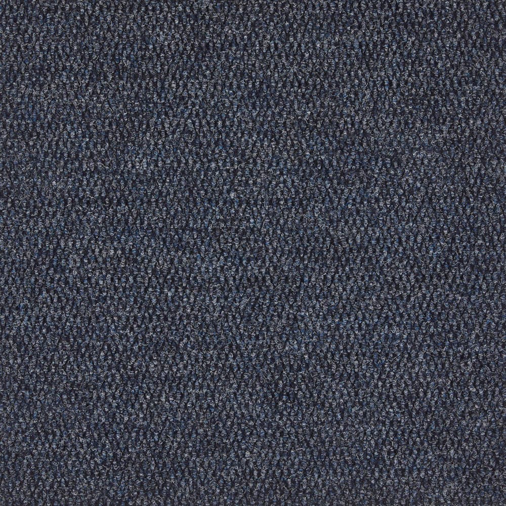 61a8ba0f9f56cd319176b30d_Berber-Point-Coral-01